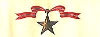 Bronze Star